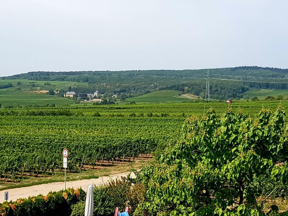 Ferienzimmer Weingut Mack Oestrich-Winkel Exteriér fotografie